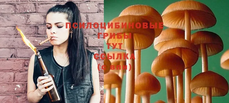 где купить   ссылка на мегу ТОР  Галлюциногенные грибы Psilocybe  Белово 